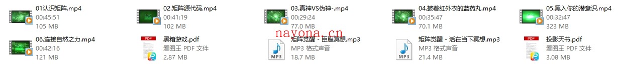 真爱之门《矩阵觉醒》
