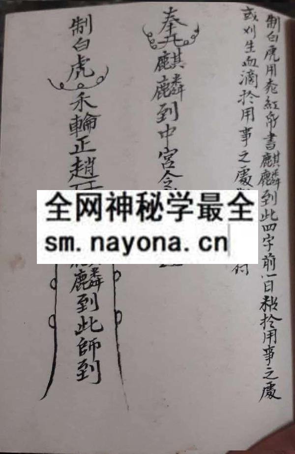 吕山良金罗汉  (电子版)