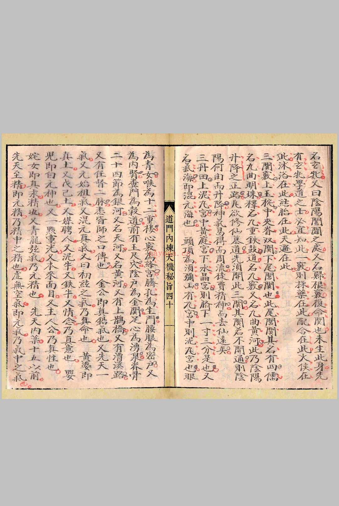 道门内炼天机秘旨