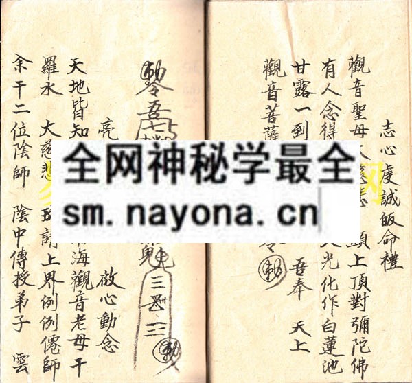 関符科  （电子版）