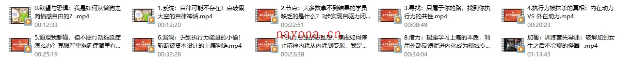 社交光谱莱特Light《执行力能量系统》无尽的执行和自律能量