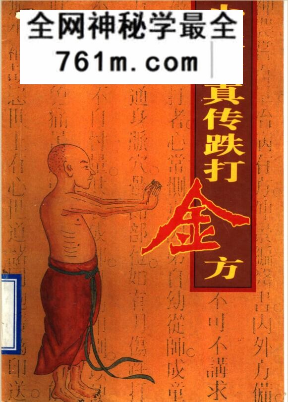 《少林寺真传跌打金方》