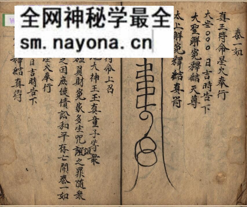 《延生行移》百度网盘下载
