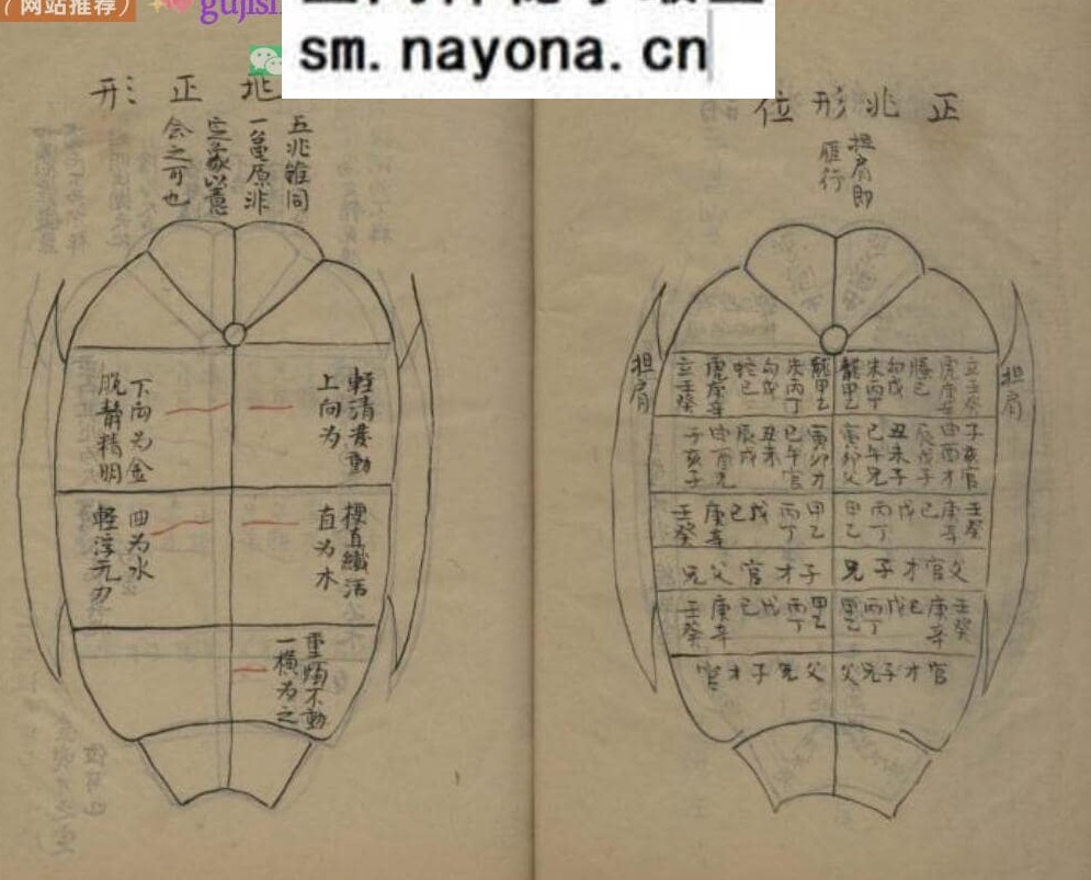 龟卜类古籍《呈洛洞玄经论图诀》119页（第111页有损）)