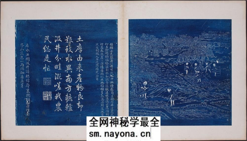 御题棉花图.方观承画.乾隆题诗.蓝拓本.1765年 - 第6页预览图