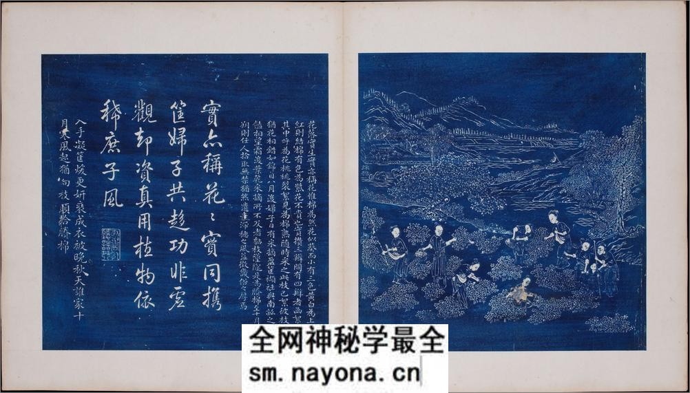御题棉花图.方观承画.乾隆题诗.蓝拓本.1765年 - 第9页预览图