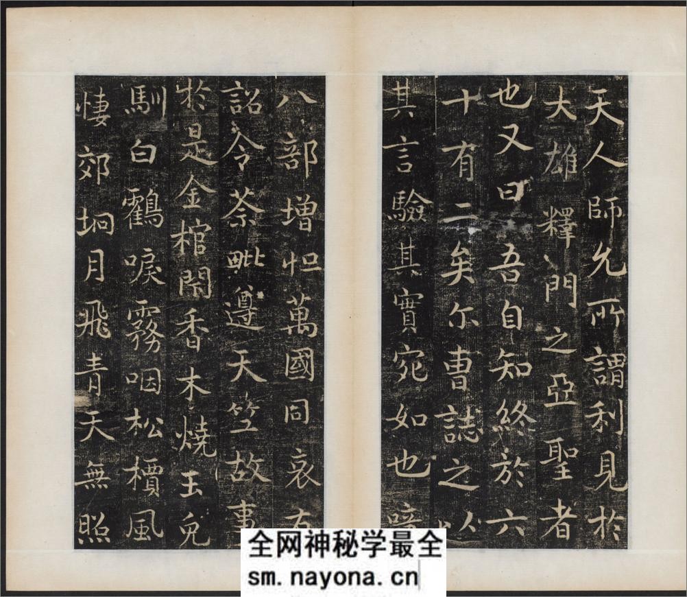 唐国师千福寺多宝塔院故法华楚金禅师碑.唐释飞锡撰.唐吴通书.民国拓本 - 第14页预览图