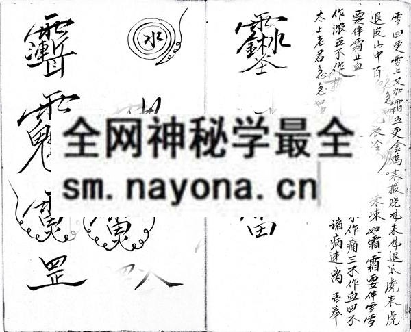 1742727058779988.jpg 道号龙清法神水灵符全书(北传五雷教法本) (电子版)