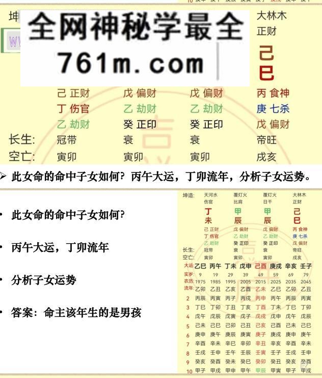 夏光明弟子高雅兰《八字看生男生女核心秘法》PDF电子书