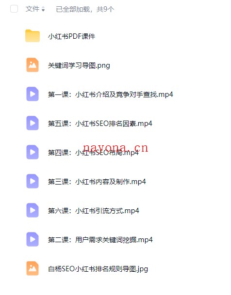 白杨SEO小红书SEO训练营实战教程【Bg-0143】