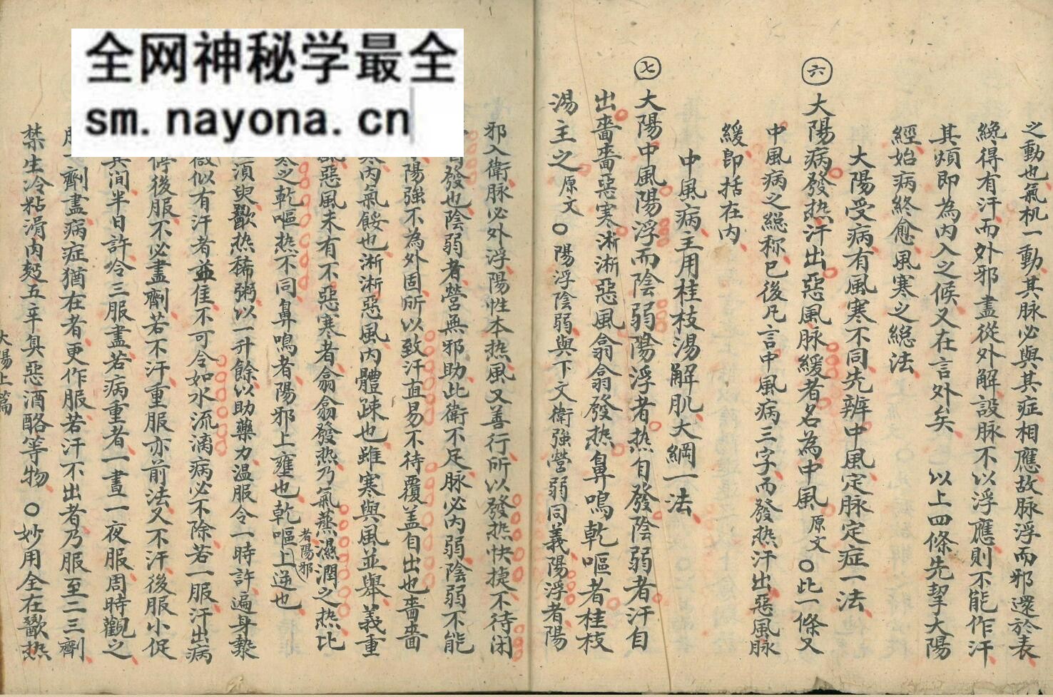 伤寒古籍《伤寒集论》张希成