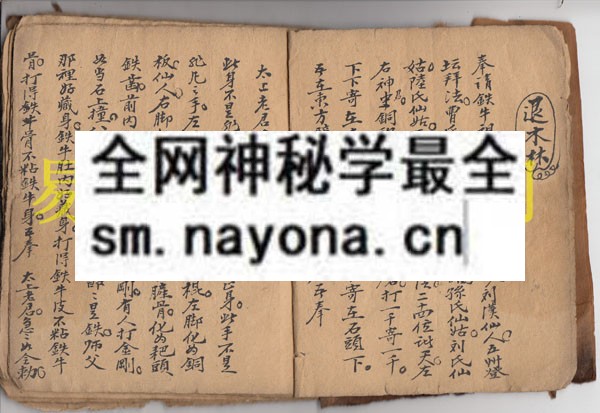 1742975310260535.jpg 符显药灵 (原书)