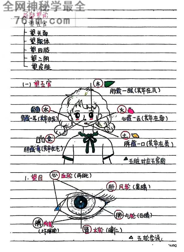 中医诊断学手绘版