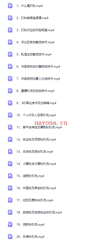 新手打粉引流必学课｜零基础入门到实战（引流技巧+私域运营+全套教程）【Bb-0154】