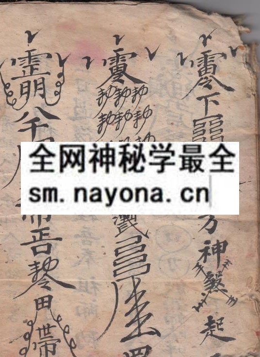録集取坟书  （原书）