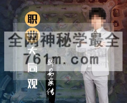 醉易亲传职业大局观196集