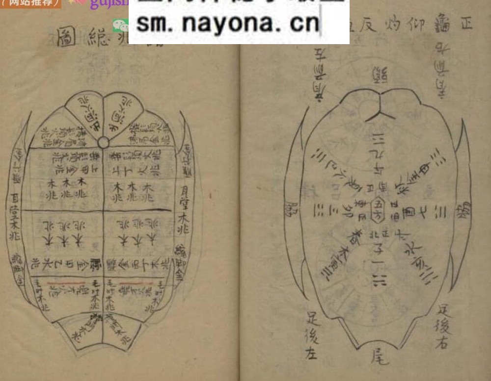 龟卜类古籍《呈洛洞玄经论图诀》119页（第111页有损）)