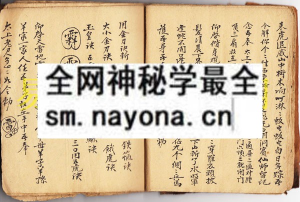 1742975313808591.jpg 符显药灵 (原书)