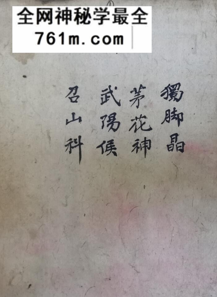 《祭矛神科》