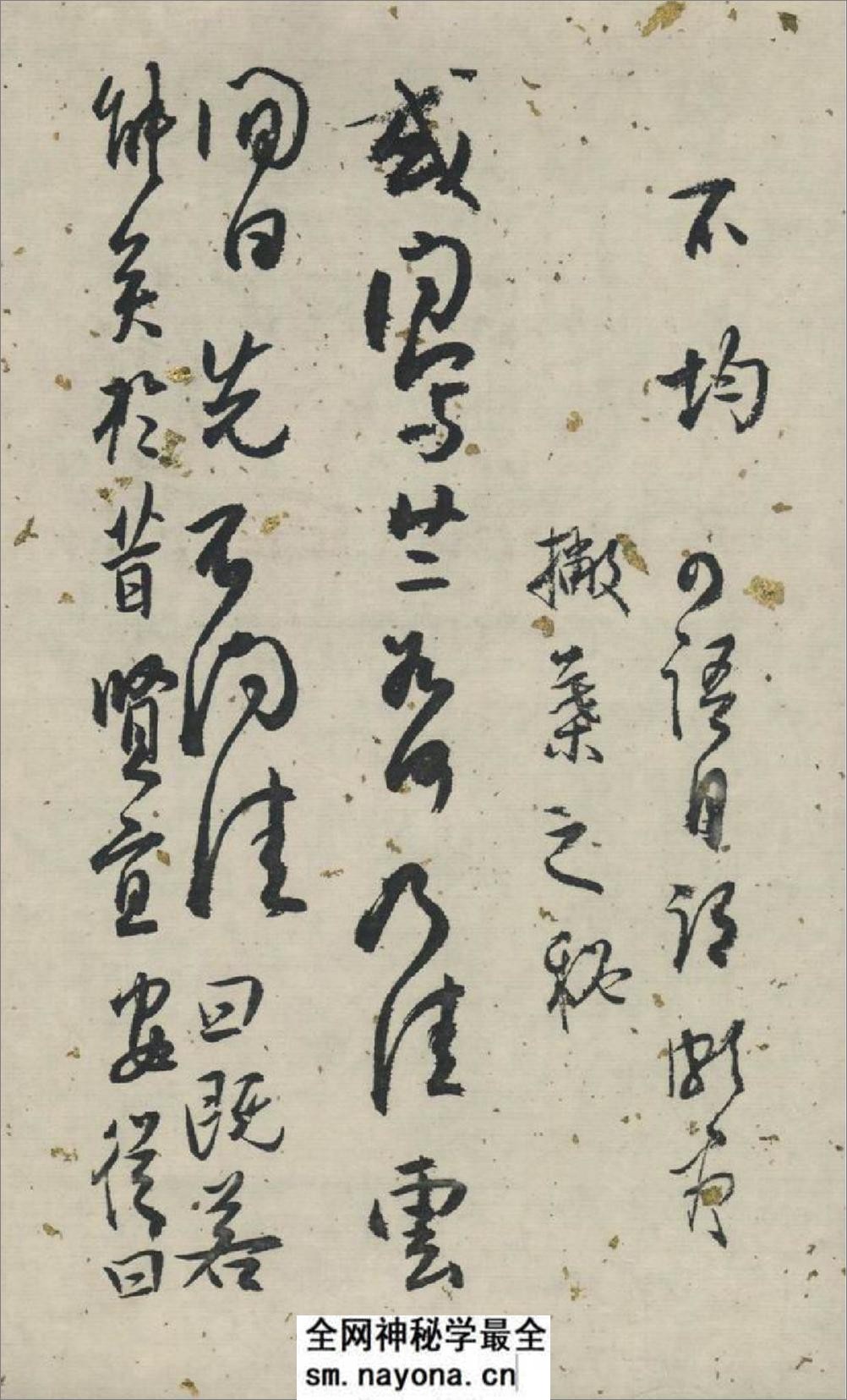 白蕉兰题杂存卷 - 第6页预览图
