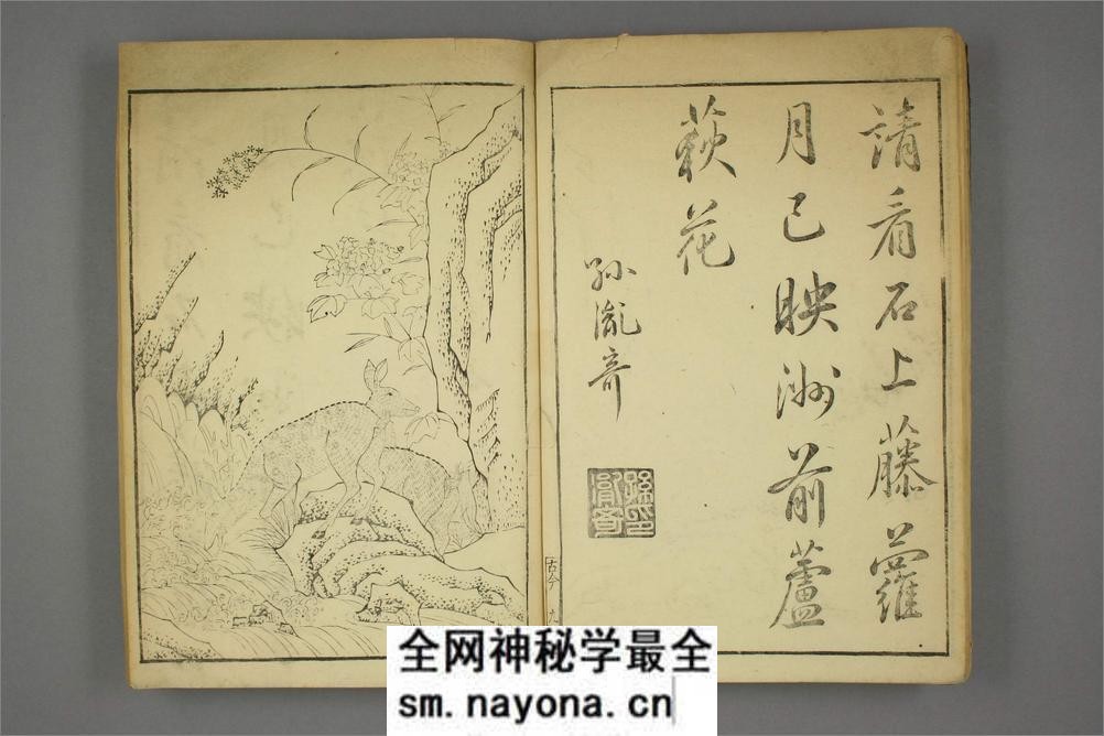 唐觧元彷古今画谱.唐寅画.明黄凤池辑 - 第8页预览图