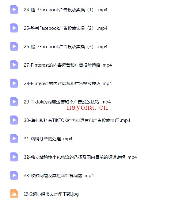 Tiktok+独立站0基础入门到精通,跨境电商独立站新手必学课【Ad-0061】