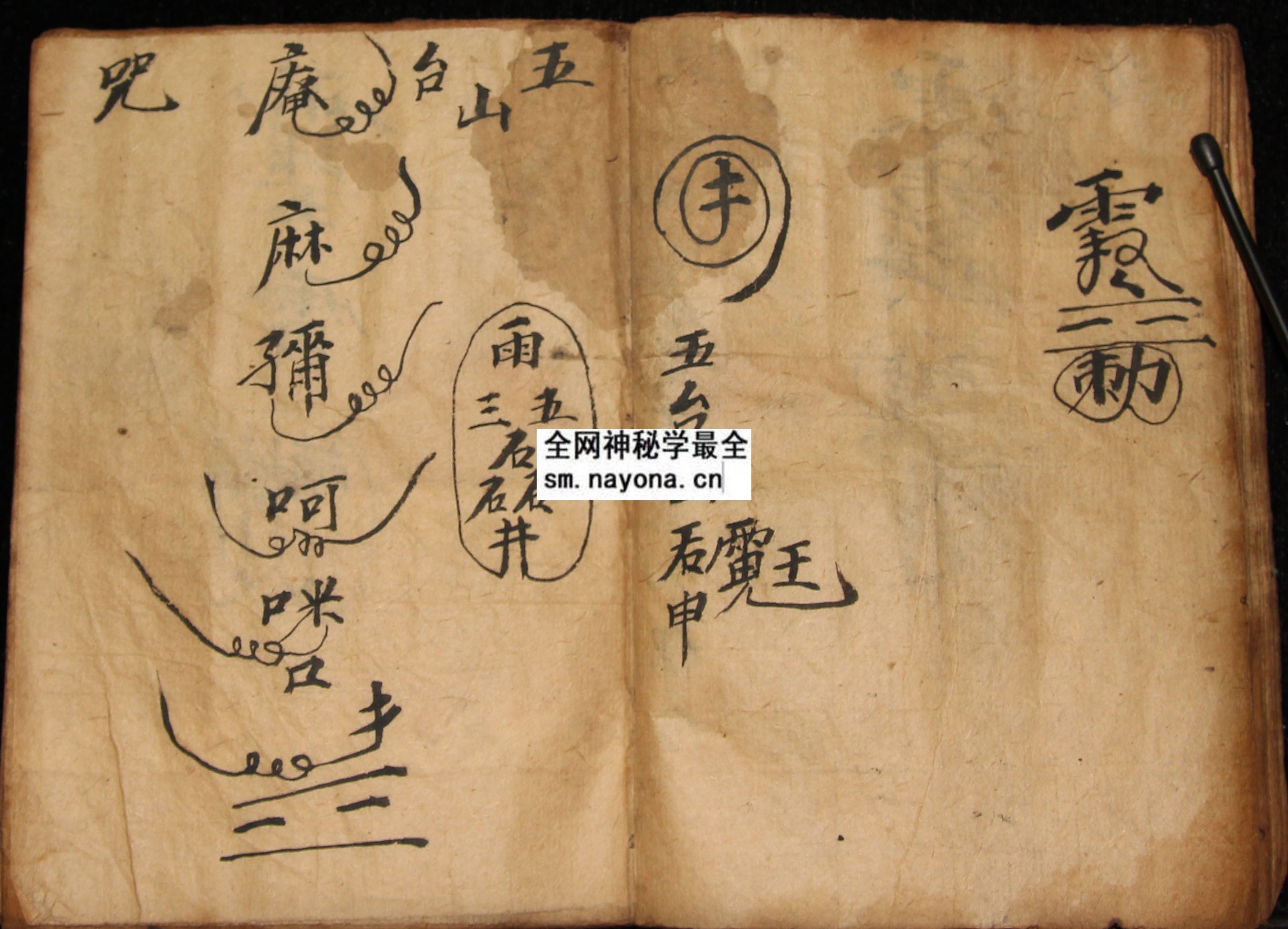 1747987904367528.jpg 化身符科 (电子版)