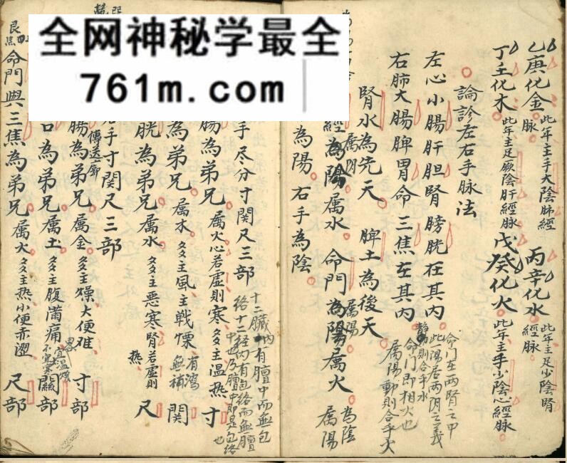 《经脉抄本》百度网盘