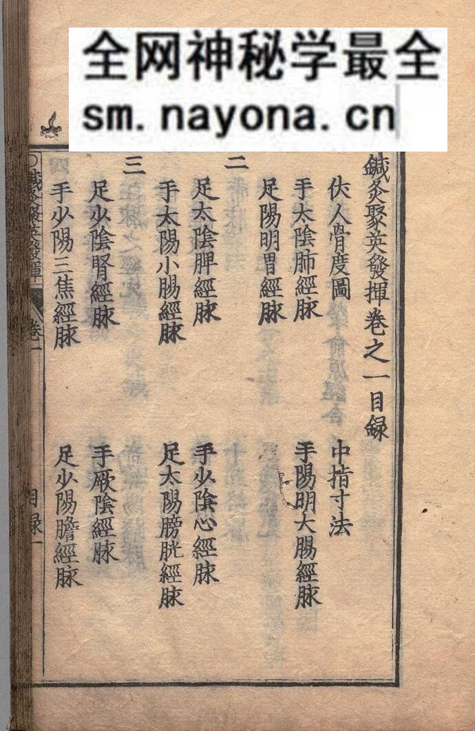 《针灸聚英发挥》