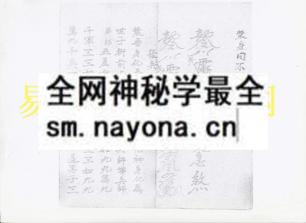 1742897643937249.jpg 发兵科 (电子版)
