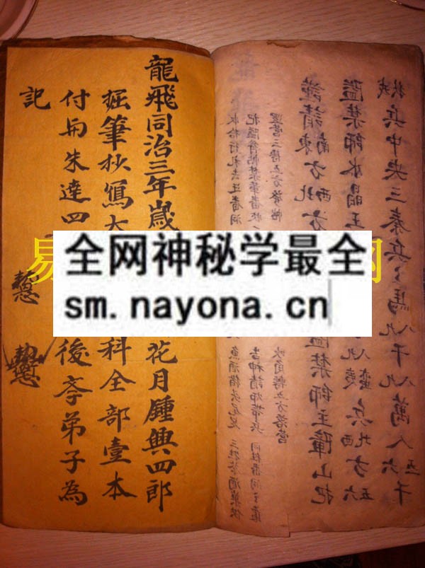 1742454924621773.jpg 大幡封山科 (电子版)