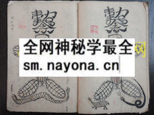 1742973031495308.jpg 符海秘法 (原书)