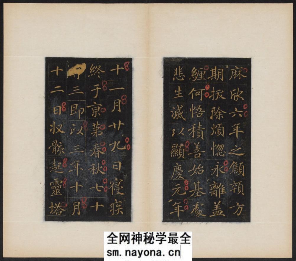 大唐王居士砖塔铭.2种.上官灵芝撰.敬客书.唐显庆三年.658年.清拓本 - 第5页预览图