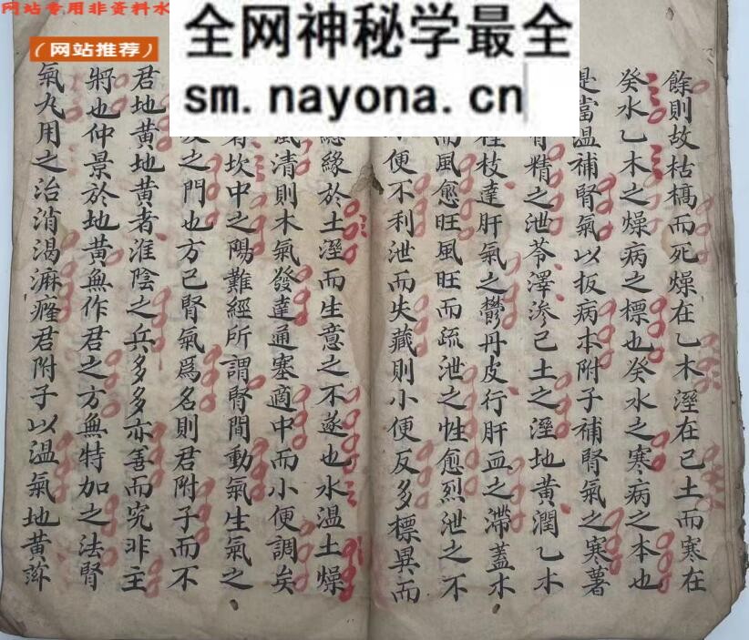 《长沙药解》