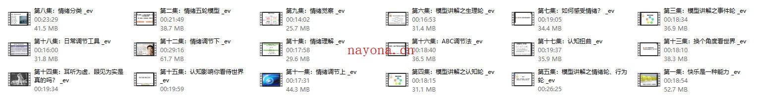 赵了了《情绪及压力管理》