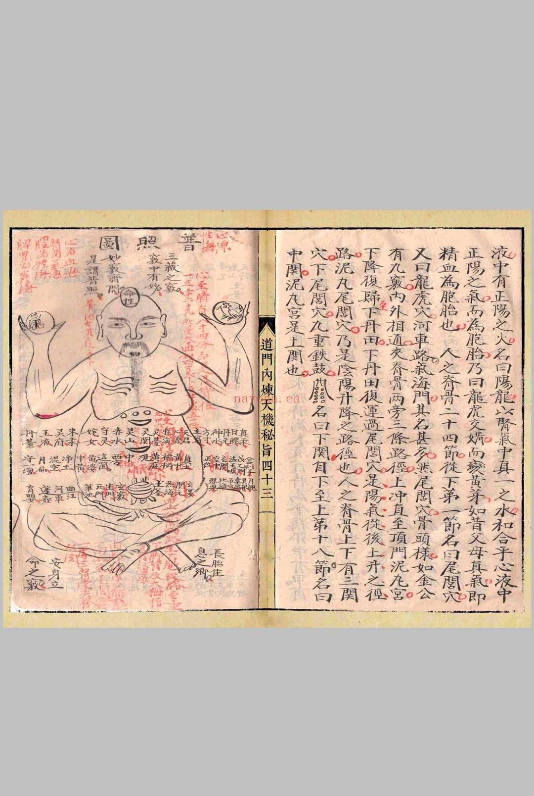 道门内炼天机秘旨