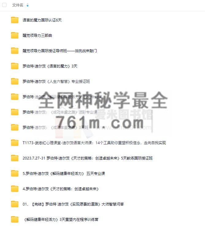 罗伯特迪尔茨课程