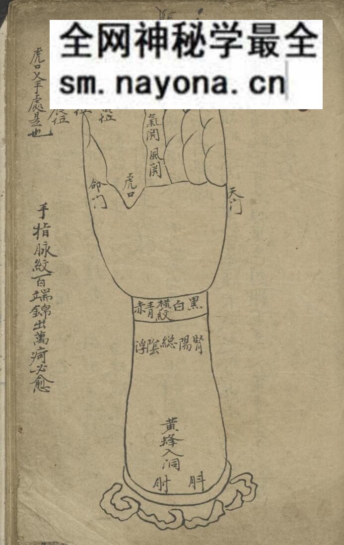 《小儿推拿》