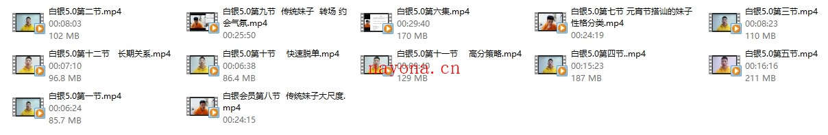 快速爱斗爷《白银会员5.0》