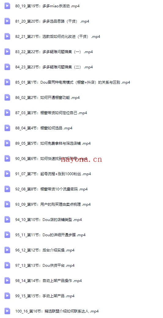 电商理论与实操从入门到精通 新手篇+进阶篇【Ag-0165】