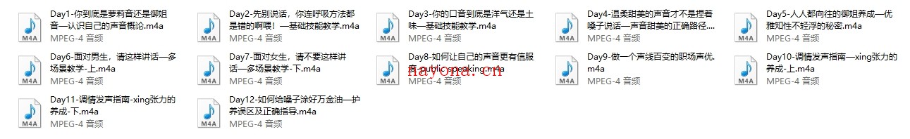 Chic魅力声音修炼术