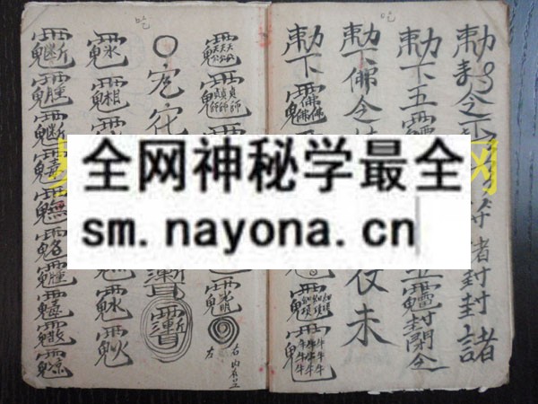 1742973030623274.jpg 符海秘法 (原书)