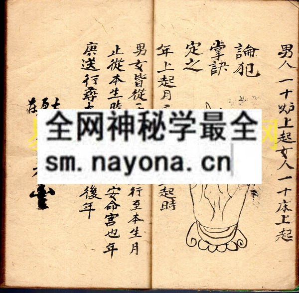 法病秘书  （原书）