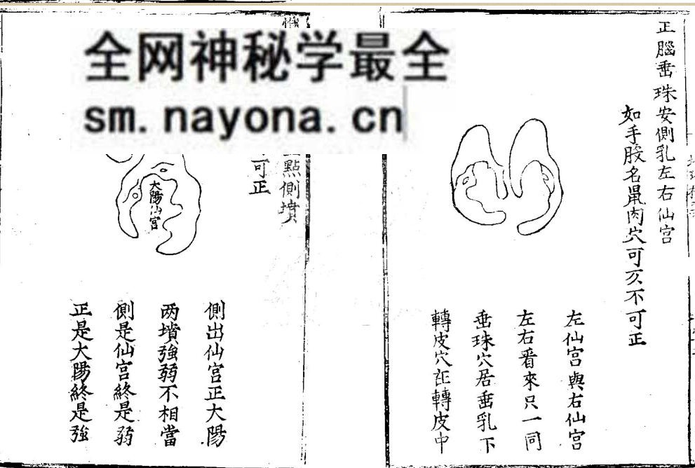 《秘传金函经》刘江东、谭仲间
