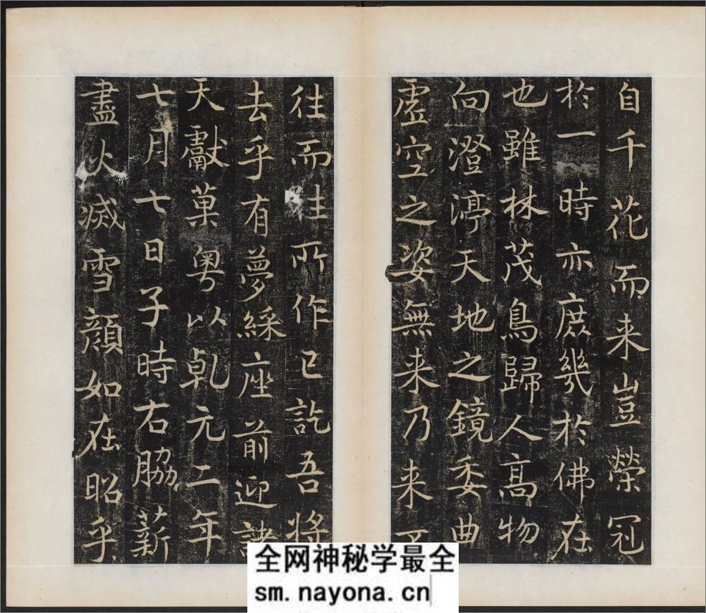 唐国师千福寺多宝塔院故法华楚金禅师碑.唐释飞锡撰.唐吴通书.民国拓本 - 第10页预览图