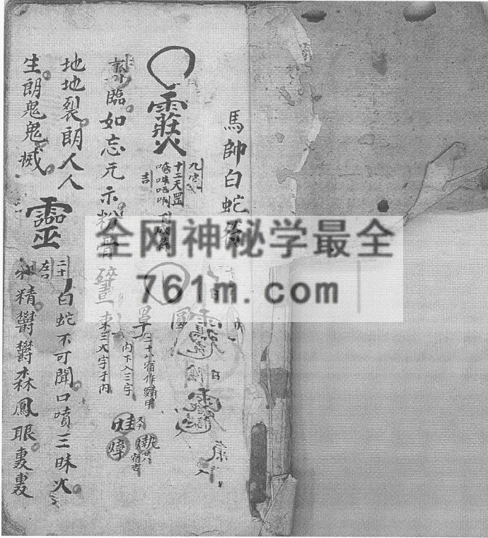 YXG0081  《先天诸符家篆》60筒子页 有几页破损