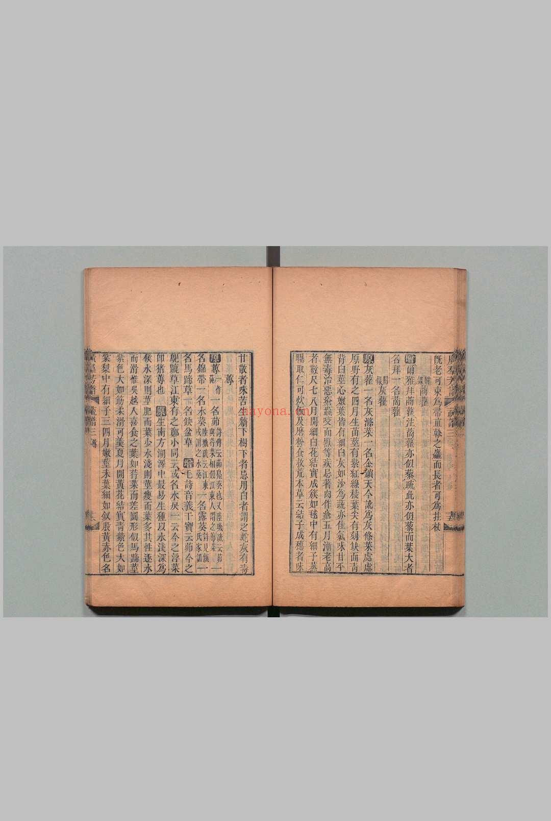 佩文斋广群芳谱 100卷目２卷 汪灏,清同治7年