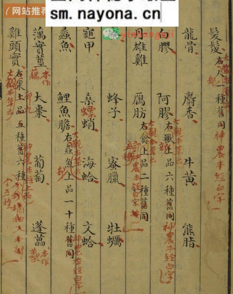 神农本草经 2册