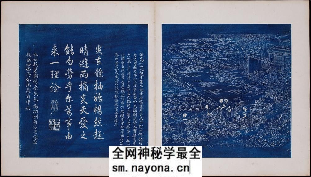 御题棉花图.方观承画.乾隆题诗.蓝拓本.1765年 - 第8页预览图