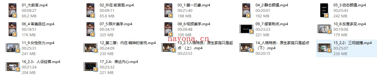 梁子辰《正向吸引高阶成长课》
